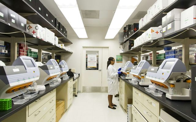 IVF at Angel Wings Hospital